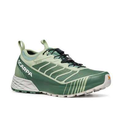 Chaussures de course Scarpa Ribelle Run GTX W's