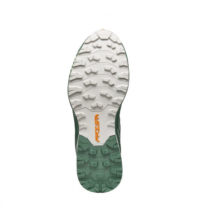 Chaussures de course Scarpa Ribelle Run GTX W's