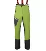 Pants Direct Alpine Eiger 6.0 M's Winter 2025